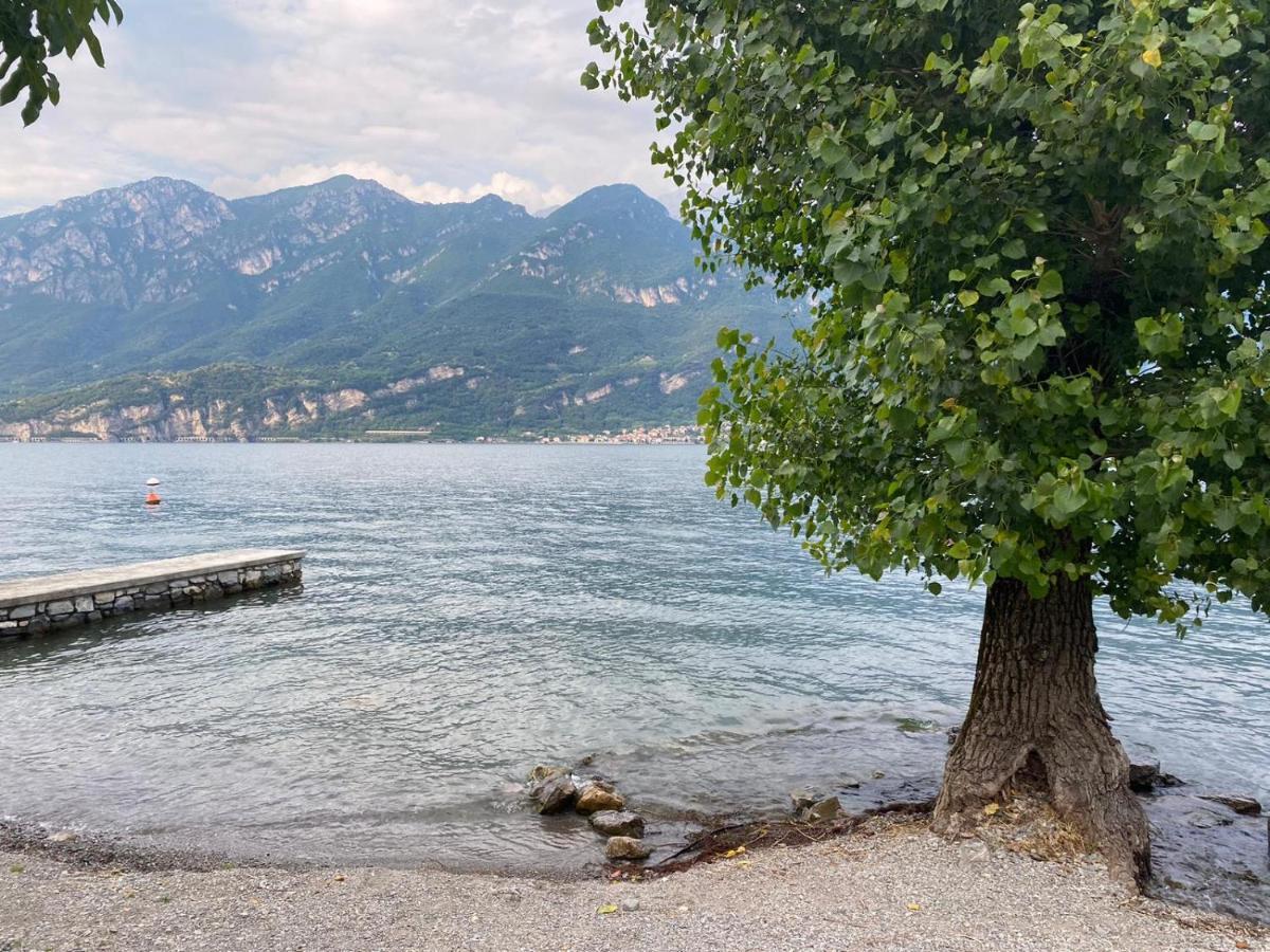 Al Cottage Oliveto Lario Exteriör bild