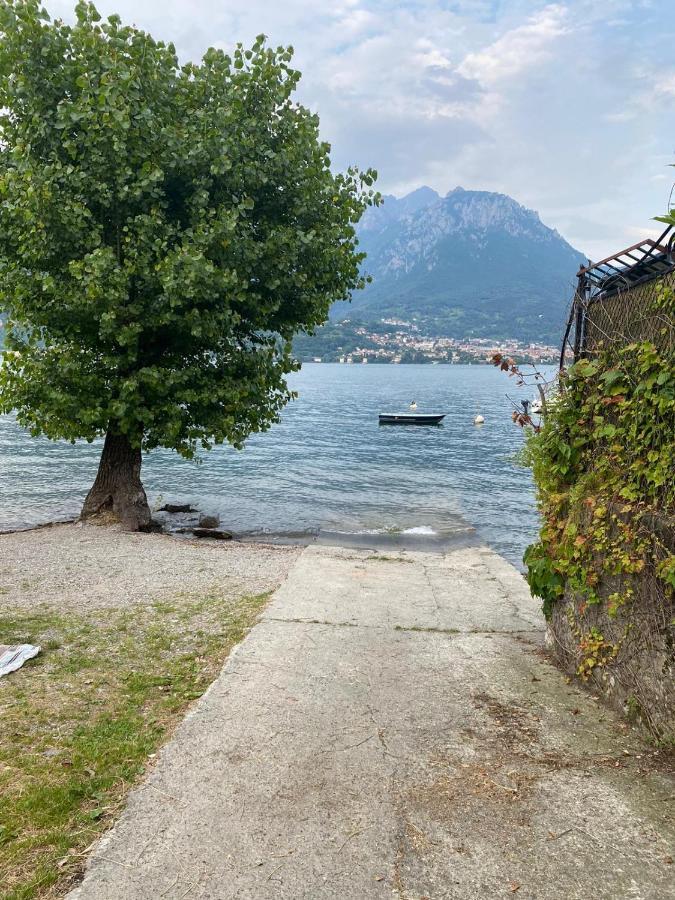 Al Cottage Oliveto Lario Exteriör bild